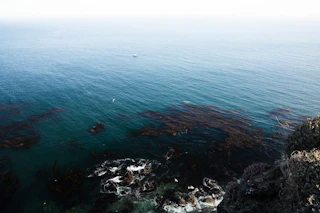 Stunning ocean view from a cliff, overlooking vibrant kelp forests and a small boat beneath a bright, clear sky.