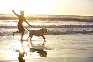 Oxnard Dog Friendly Beach