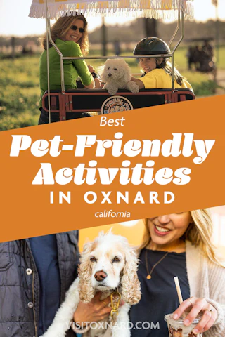 Smiling woman and child enjoy a wagon ride with their dog, while another woman relaxes with a drink and her pet in Oxnard.