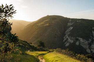 A scenic dirt trail winds through lush green hills at sunset, with golden sunlight and distant mountains creating a stunning view.