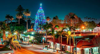 A lively city street at night featuring a stunning Christmas tree and palm trees beautifully illuminated with festive, colorful lights.