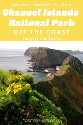 Stunning coastal cliffs and vibrant yellow wildflowers at Channel Islands National Park near Oxnard, California.