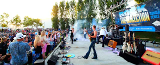 Lively outdoor concert with talented band on stage, enthusiastic crowd, beautiful trees behind, and colorful guitars showcased.