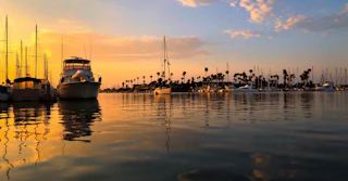 Scenic marina with boats at sunset, palm trees and colorful clouds reflected on tranquil water, inviting for a relaxing visit.