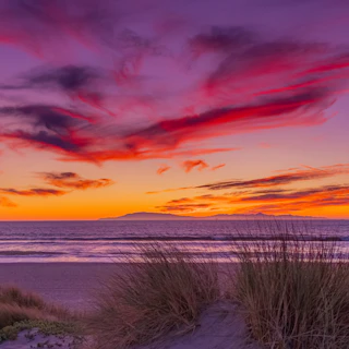 Stunning sunset over a beautiful beach, with tall grass in the foreground and vibrant, colorful clouds lighting up the sky.