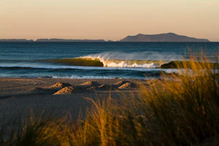 Sunlit waves grace a sandy beach with lush grass in the foreground and a scenic island visible across sparkling blue water.