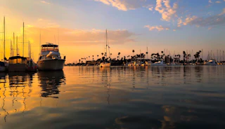 Scenic marina with boats docked, framed by palm trees and a vibrant sunset mirrored on calm, inviting water.