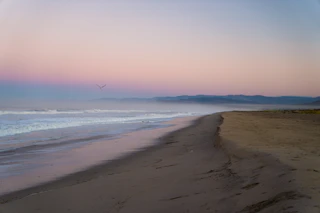Tranquil sandy beach at sunset, gentle waves lapping ashore, distant mountains, and a bird soaring in a pastel sky.