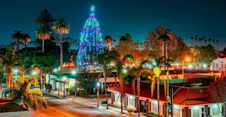 A vibrant Christmas tree with colorful lights glows among palm trees in a lively, festive city at night.